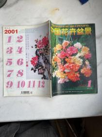 中国花卉盆景2001年第1，11~12期共3期合售
