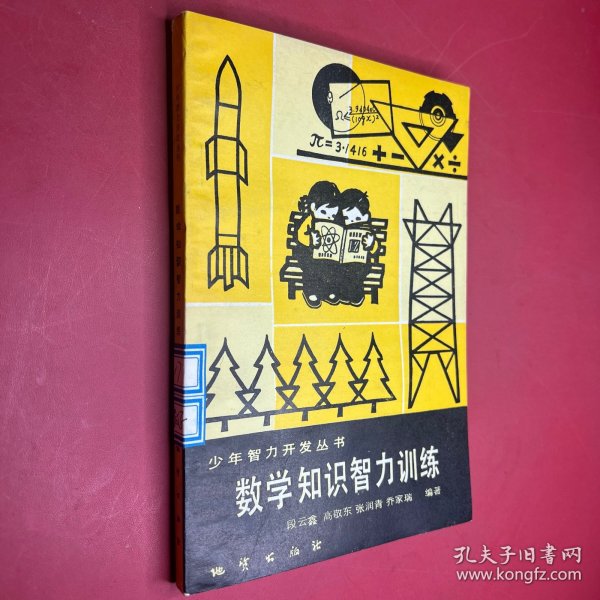 少年智力开发丛书 数学知识智力训练