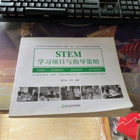 STEM学习项目与指导策略