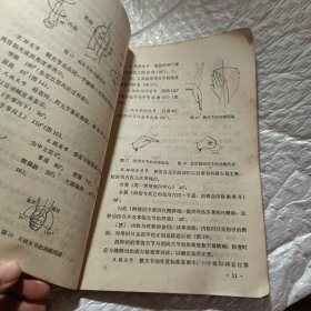 骨科临床检查法