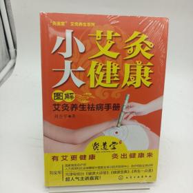 小艾灸大健康