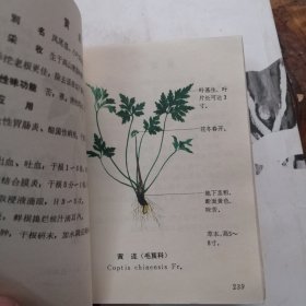 福建中草药