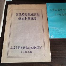 黑色路面使用状态调查分析报告