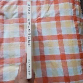 南梅指书：毛泽东诗词百首集