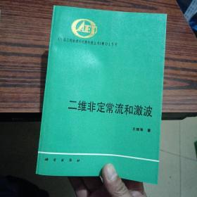 二维非定常流和激波【包正版 现货】（别的地方特别干净几乎全新）