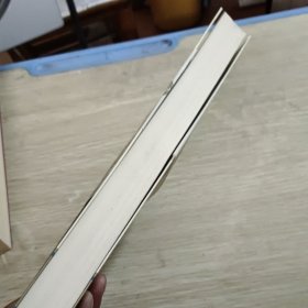 无畏的希望：重申美国梦