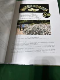 哈民玉器研究 8开本 硬精装 本书既是哈民玉器的图录，也是哈民出土玉器研究的集结。全书以哈民玉器的研究为中心，把哈民遗址及其玉器放在东北亚的广阔背景中，不仅深刻揭示出玉器的出土背景、玉器的特征，还深入探讨了哈民与东北亚玉器的交流、哈民玉器的工艺特点、哈民玉器与红山文化玉器的关系、勾云形玉器和西伯利亚萨满教人与动物雕像倒挂的使用方式等，使我们对哈民玉器有了更深入准确的认识。发货为全新塑封未拆！