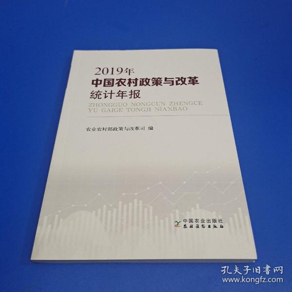 中国农村政策与改革统计年报（2019年）