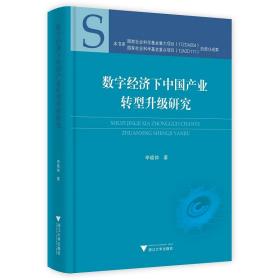 数字经济下中国产业转型升级研究(精)