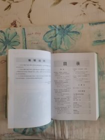 大红山铜矿年鉴（2005）