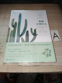 植物在想什么：以中立客观的态度以植物本体论以“植物性”的角度改变固有束缚打破常规参照系【全新塑封】