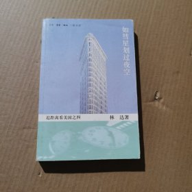 如彗星划过夜空：近距离看美国之四