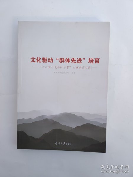 文化驱动“群体先进”培育 : “大山里行走的红马甲”品牌建设实践