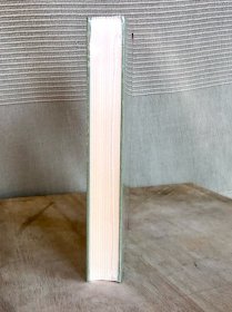 外国文学名著丛书《泰戈尔诗选》毛边本 网格本 全一册(人民文学出版社2020年版,精装限量300册)全新塑封未拆