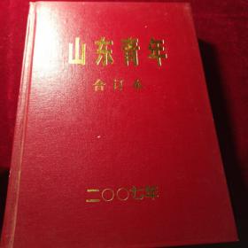 山东青年 合订本 2007年