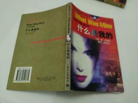 什么是我的 / 现当代世界文学丛书 [美国] 安·贝蒂 著 上海译文出版社 正版现货 实物拍照