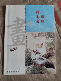 翠鸟.鹡鸰.雉鸡、 中国画技法示范工笔画系列