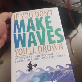 IF YOU DON'T MAKE WAVES YOU'LL DROWN: 10 HARD CHARGING STRATEGIES FOR LEADING IN POLITICALLY CORR