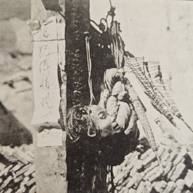民国早期1913年罪犯首级照片明信片（日本制作印刷），头颅周围疑似有5把雨伞。