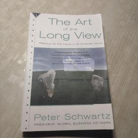 The Art of the Long View : Planning for the Future in an Uncertain World