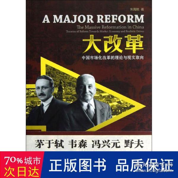 大改革：中国市场化改革的理论与现实取向