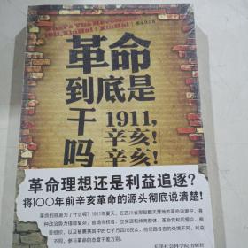 革命到底是干吗？：1911，辛亥！辛亥！