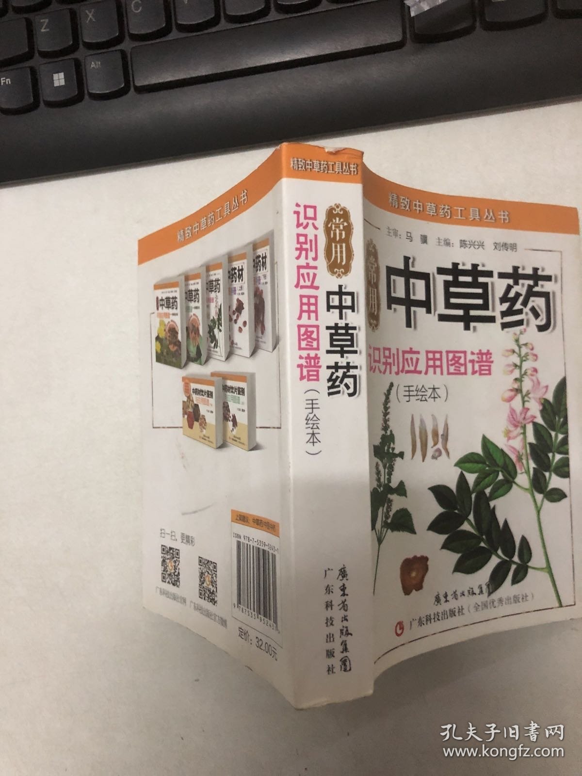 精致中草药工具丛书：常用中草药识别应用图谱（手绘本）