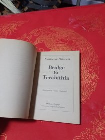 Bridge to Terabithia【通往特拉比西亚的桥梁】