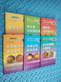 常见眼底外科疾病知识问答系列·糖尿病视网膜病变 年龄相关性黄斑变性 裂孔性视网膜脱离 黄斑裂孔 高度近视眼底病变 原发性视网膜色素变性 糖尿病视网膜病变 6册合售