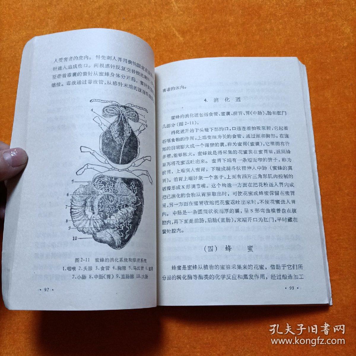 资源昆虫