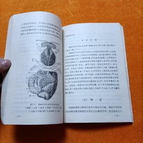 资源昆虫