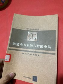 现代电力系统丛书：智能电力系统与智能电网