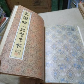 历代碑帖法书选:泰石鼓文，清杨沂孙篆书，爨宝子碑，爨龙颜碑，唐张旭书古诗四帖，晋王献之洛神赋十三行，北魏张猛龙碑，唐欧阳通书道因法师碑，唐欧阳询书九成宫醴泉铭，苏轼行书字帖，文征明小楷习字帖（11本合）