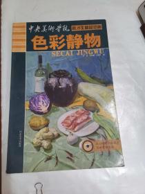 中央美术学院高才生精品范画：色彩静物