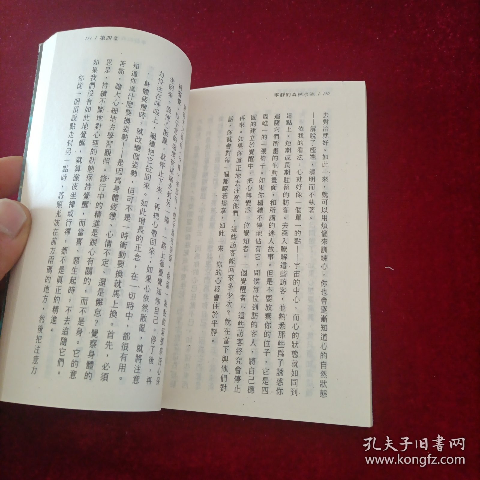 宁静的森林水池：阿姜查的内观禅修