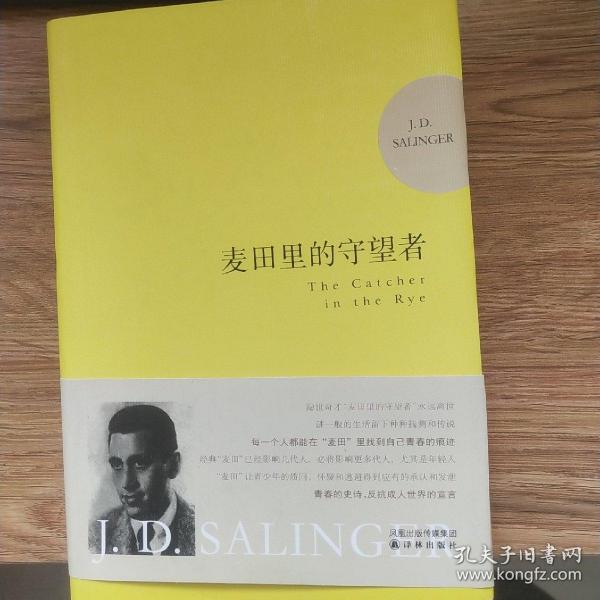 麦田里的守望者 纪念版