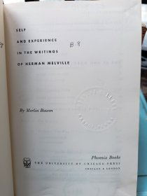 Long Encounter: Self and Experience in the Writings of Herman Melville《漫长的邂逅：梅尔维尔作品中的自我与经验》