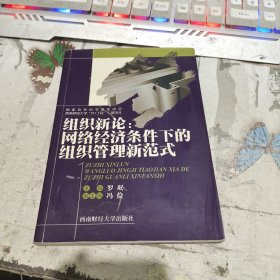组织新论：网络经济条件下的组织管理新范式【2005年一版一印】