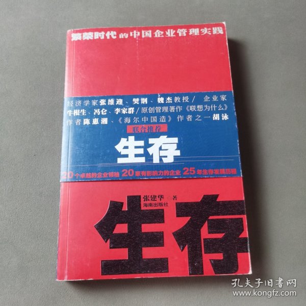 生存（繁荣时代的中国企业管理实践）