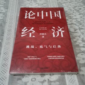 论中国经济：挑战、底气与后劲