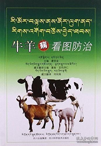 牛羊病看图防治(藏文版)