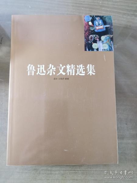 鲁迅杂文精选集