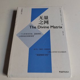 无量之网:一个让你看见奇迹、超越极限、心想事成的神秘境地（全新修订本）