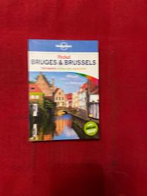 孤独星球布鲁塞尔旅游指南英文原版Lonely Planet Bruges Brussels