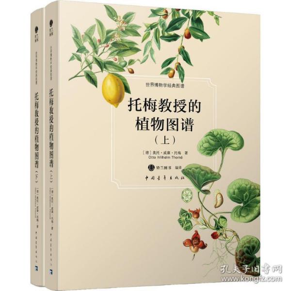 托梅教授的植物图谱