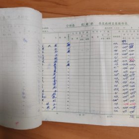 1972年江西省宁都县洛上公社球田大队中药盘查表6页全