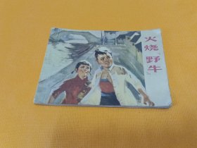 连环画～《火烧野牛》黑龙江版！