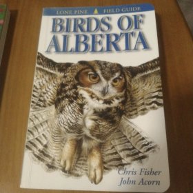 鸟类图鉴Birds of Alberta