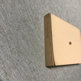 集英社文库 私小说名作选