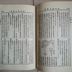 植物学大词典（全一册民国版）